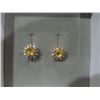 Image 1 : Earrings