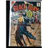 Image 1 : CDC COMICS BLACK FURY