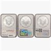 Image 2 : [3] 2011-2012 Silver Eagle NGC MS69