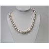 Image 1 : 9-11mm Off White Tahitian Round Strand with Gold Clasp