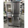 Image 2 : DOUBLE STACKED BLODGETT FULL SIZE OVENS ON CASTERS