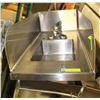 Image 1 : SS SIDE SINK 31"X 15" W/ FAUCET