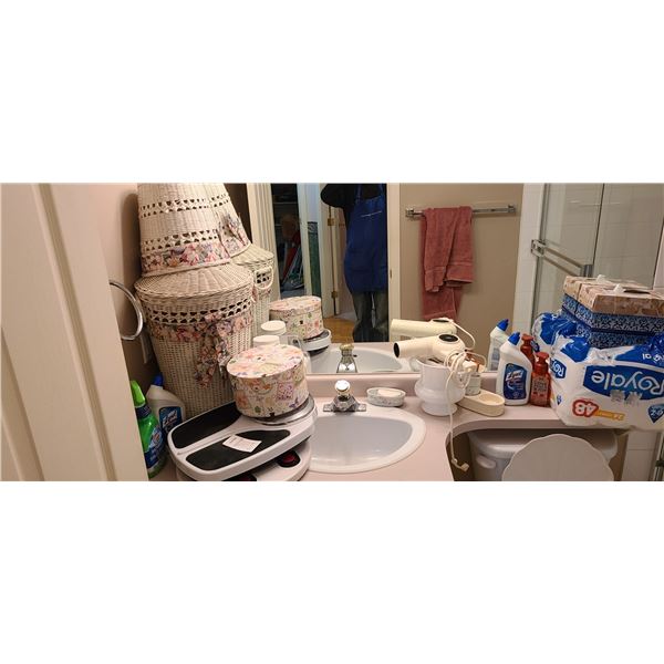 Dr-Ho's & Bathroom Cat A