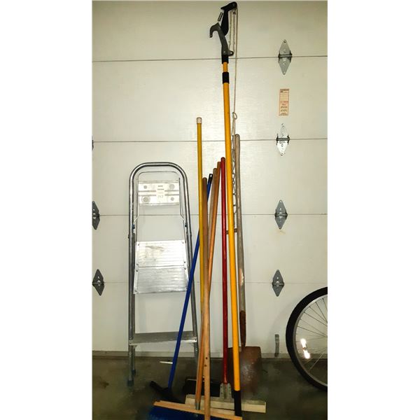 Step Ladder & Pruning Cat A