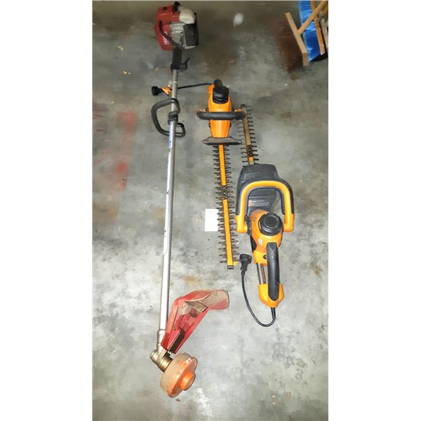 WorkX & Maruyama Cat A