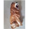 Image 3 : Ceramic Lion Figurine Cat A
