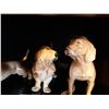 Image 3 : Dog Figurines Cat A