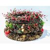 Image 1 : 3 ASSORT. CHRISTMAS DOOR / WALL WREATHS