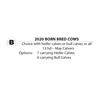 Image 1 : 2020 BORN BRED COWS