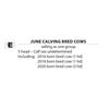 Image 1 : JUNE CALVING BRED COWS