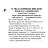 Image 1 : 70 HEAD COMMERCIAL BRED COWS