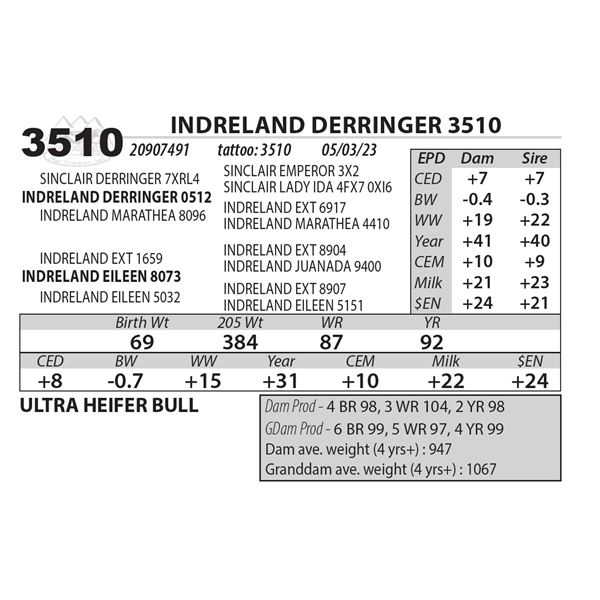 INDRELAND DERRINGER 3510