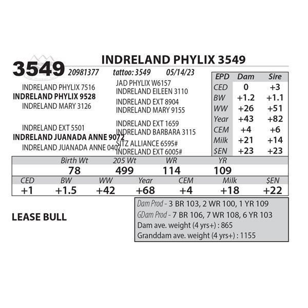 INDRELAND PHYLIX 3549
