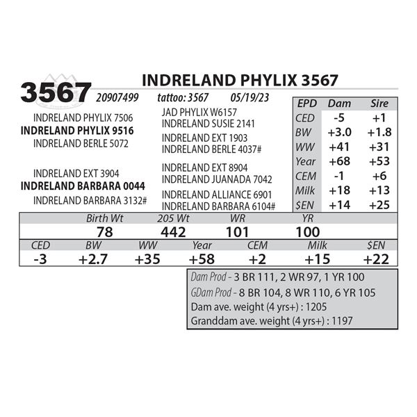INDRELAND PHYLIX 3567