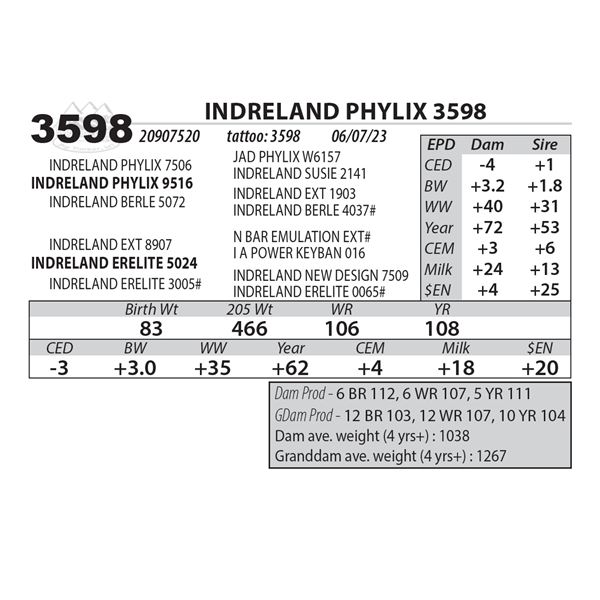 INDRELAND PHYLIX 3598