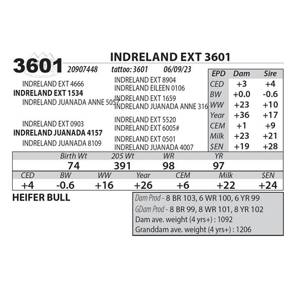 INDRELAND EXT 3601