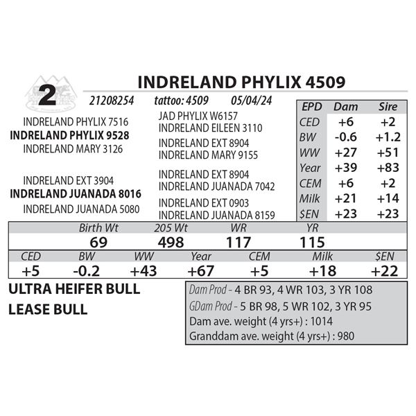 INDRELAND PHYLIX 4509