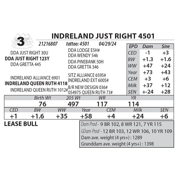 INDRELAND JUST RIGHT 4501