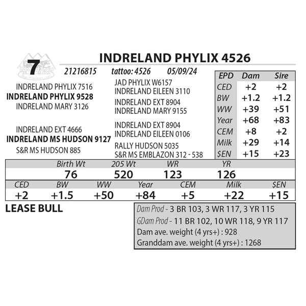 INDRELAND PHYLIX 4526