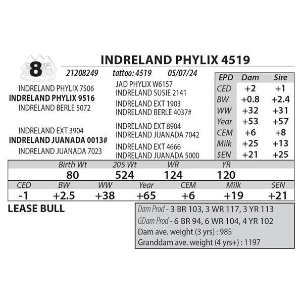 INDRELAND PHYLIX 4519