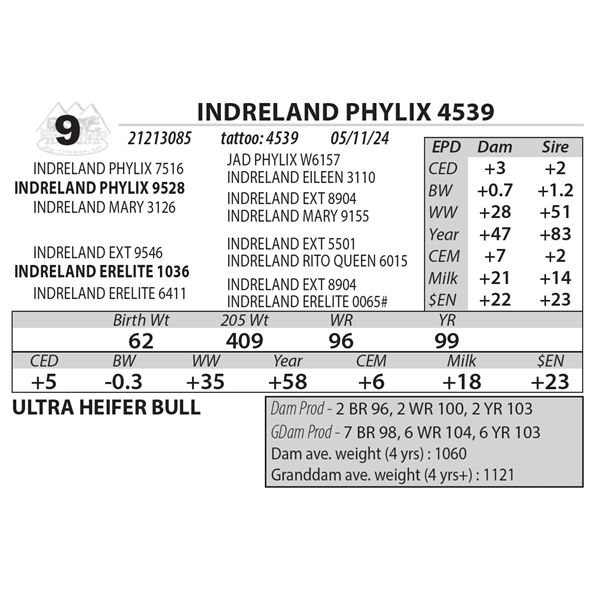 INDRELAND PHYLIX 4539