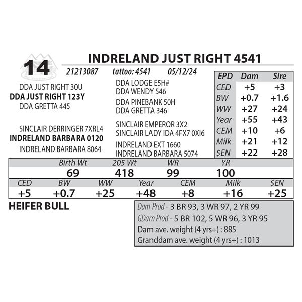 INDRELAND JUST RIGHT 4541