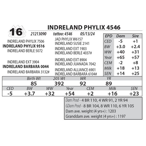 INDRELAND PHYLIX 4546
