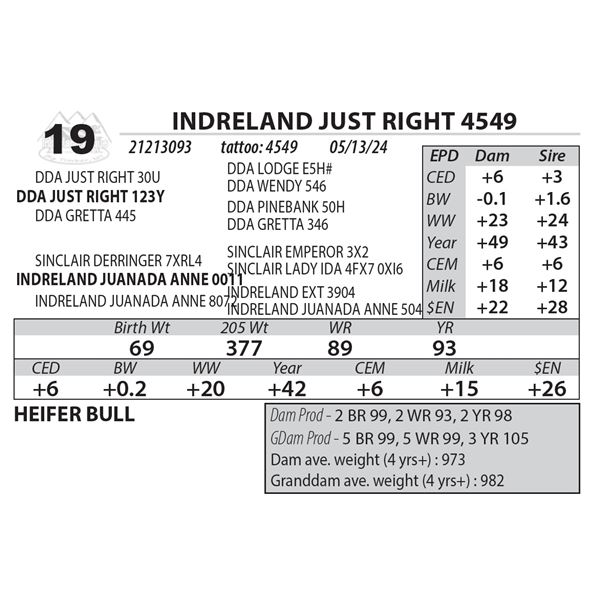 INDRELAND JUST RIGHT 4549
