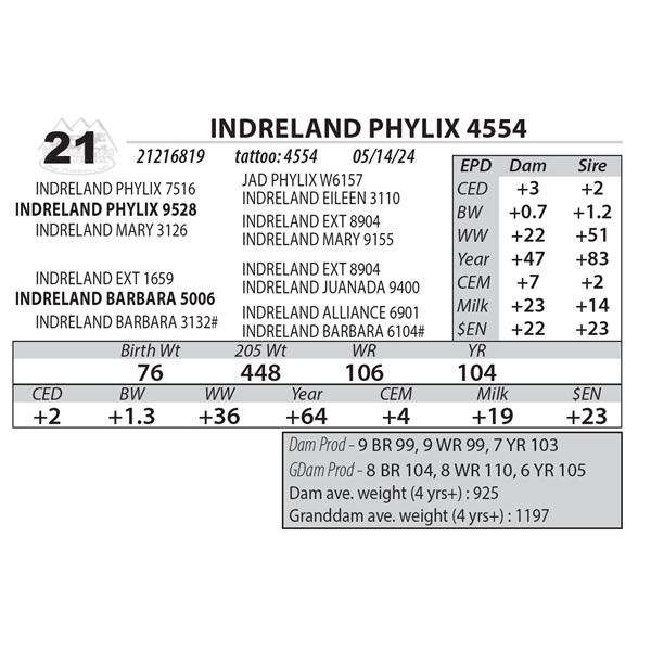 INDRELAND PHYLIX 4554