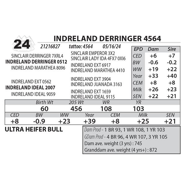 INDRELAND DERRINGER 4564