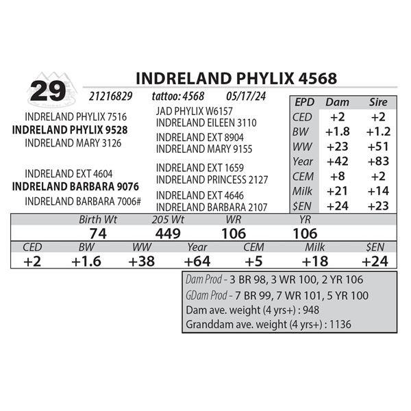 INDRELAND PHYLIX 4568