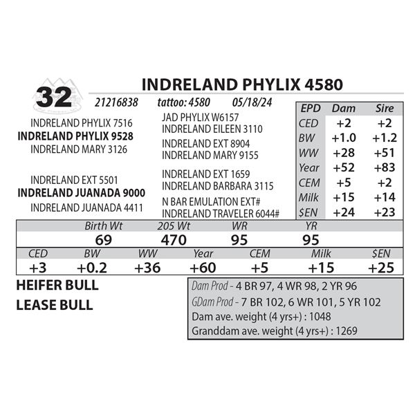 INDRELAND PHYLIX 4580