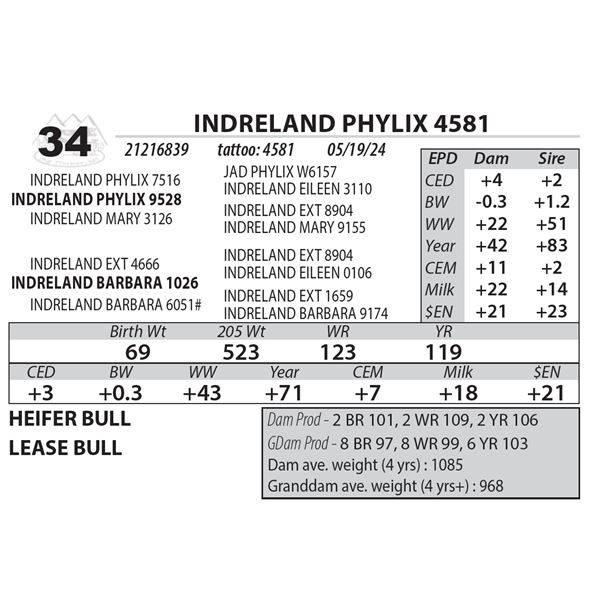 INDRELAND PHYLIX 4581