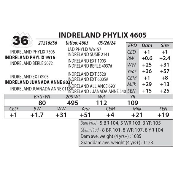 INDRELAND PHYLIX 4605