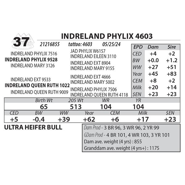 INDRELAND PHYLIX 4603
