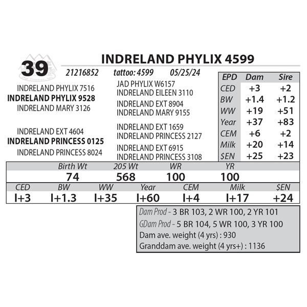 INDRELAND PHYLIX 4599