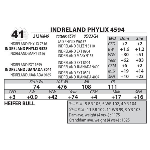 INDRELAND PHYLIX 4594