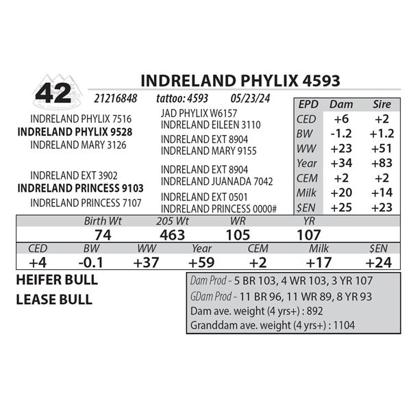 INDRELAND PHYLIX 4593