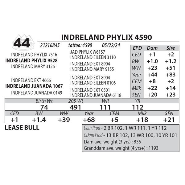 INDRELAND PHYLIX 4590