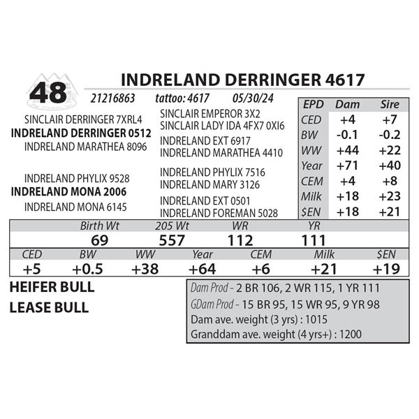INDRELAND DERRINGER 4617