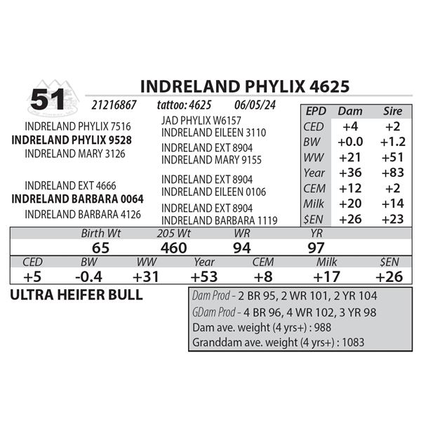 INDRELAND PHYLIX 4625