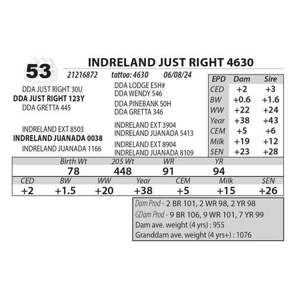 INDRELAND JUST RIGHT 4630