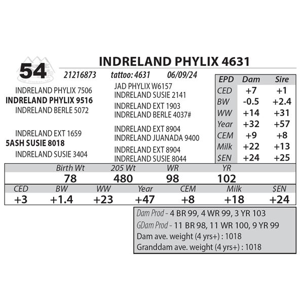 INDRELAND PHYLIX 4631