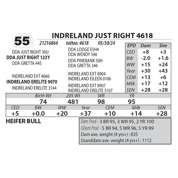 INDRELAND JUST RIGHT 4618