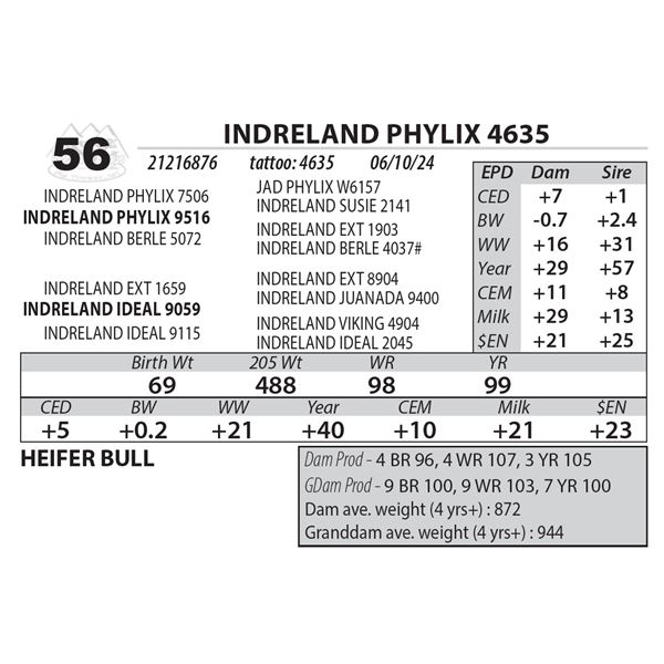 INDRELAND PHYLIX 4635