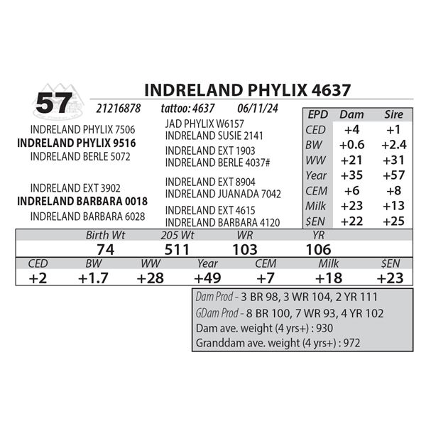 INDRELAND PHYLIX 4637