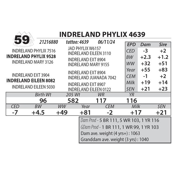 INDRELAND PHYLIX 4639