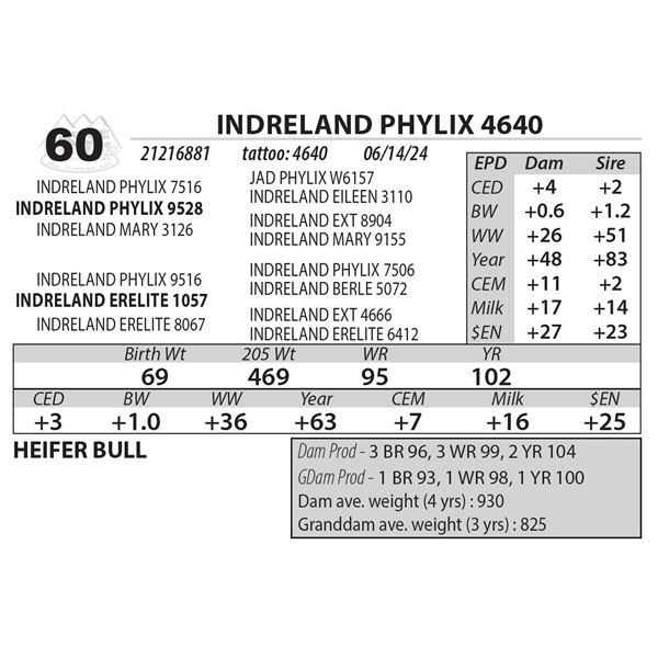 INDRELAND PHYLIX 4640