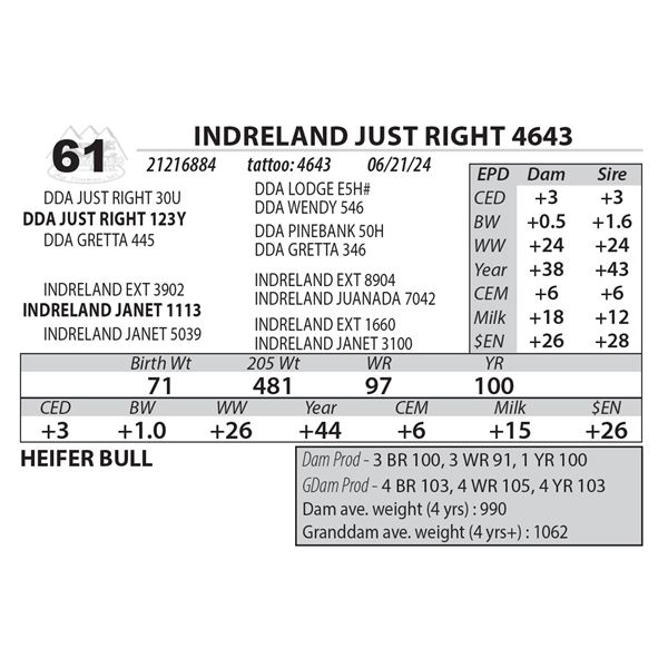 INDRELAND JUST RIGHT 4643