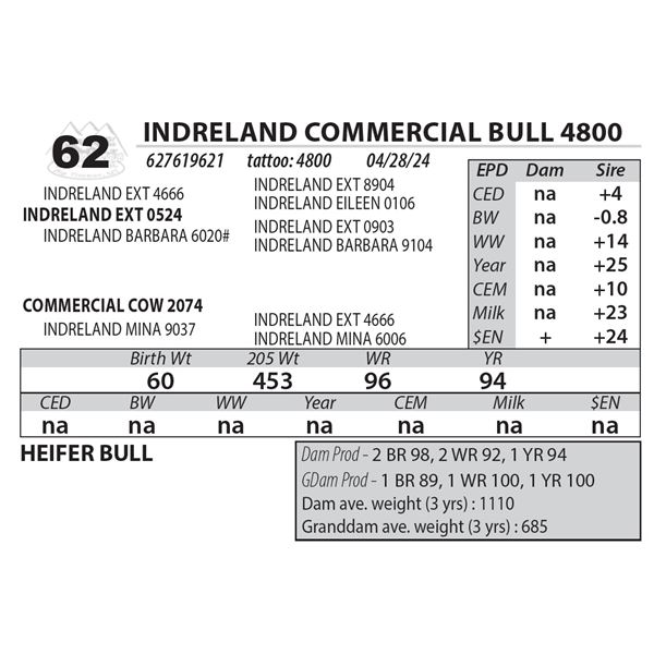 INDRELAND COMMERCIAL BULL 4800